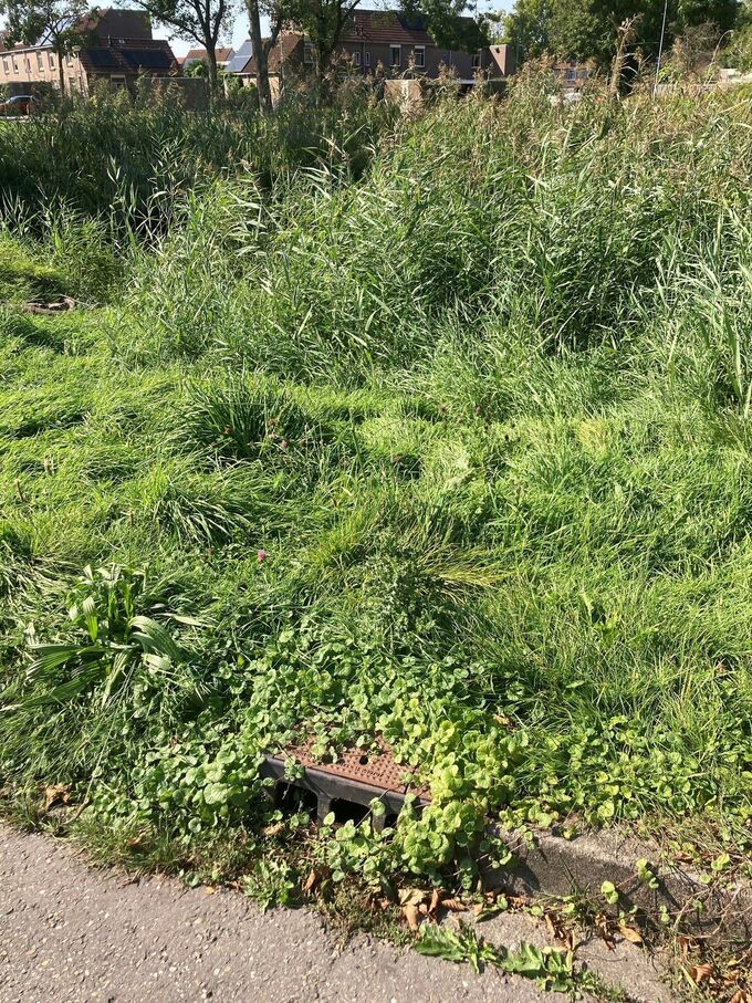 Groenonderhoud berm Kasteellaan en hondenuitlaatveld Oudorp